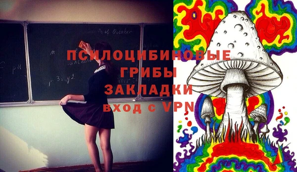 амф Пестово