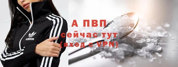 амф Пестово