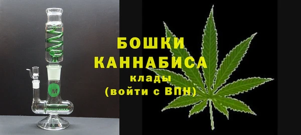 амф Пестово