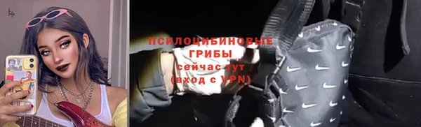 амф Пестово