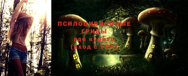 амф Пестово