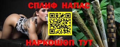 гашик Бузулук