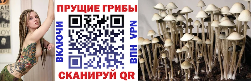 хочу   Саратов  Галлюциногенные грибы Magic Shrooms 