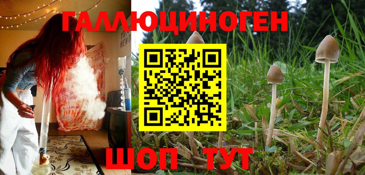 Саратов  Галлюциногенные грибы прущие грибы  Вход с VPN 