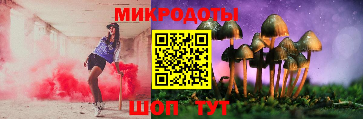 Псилоцибиновые грибы прущие грибы  Саратов 